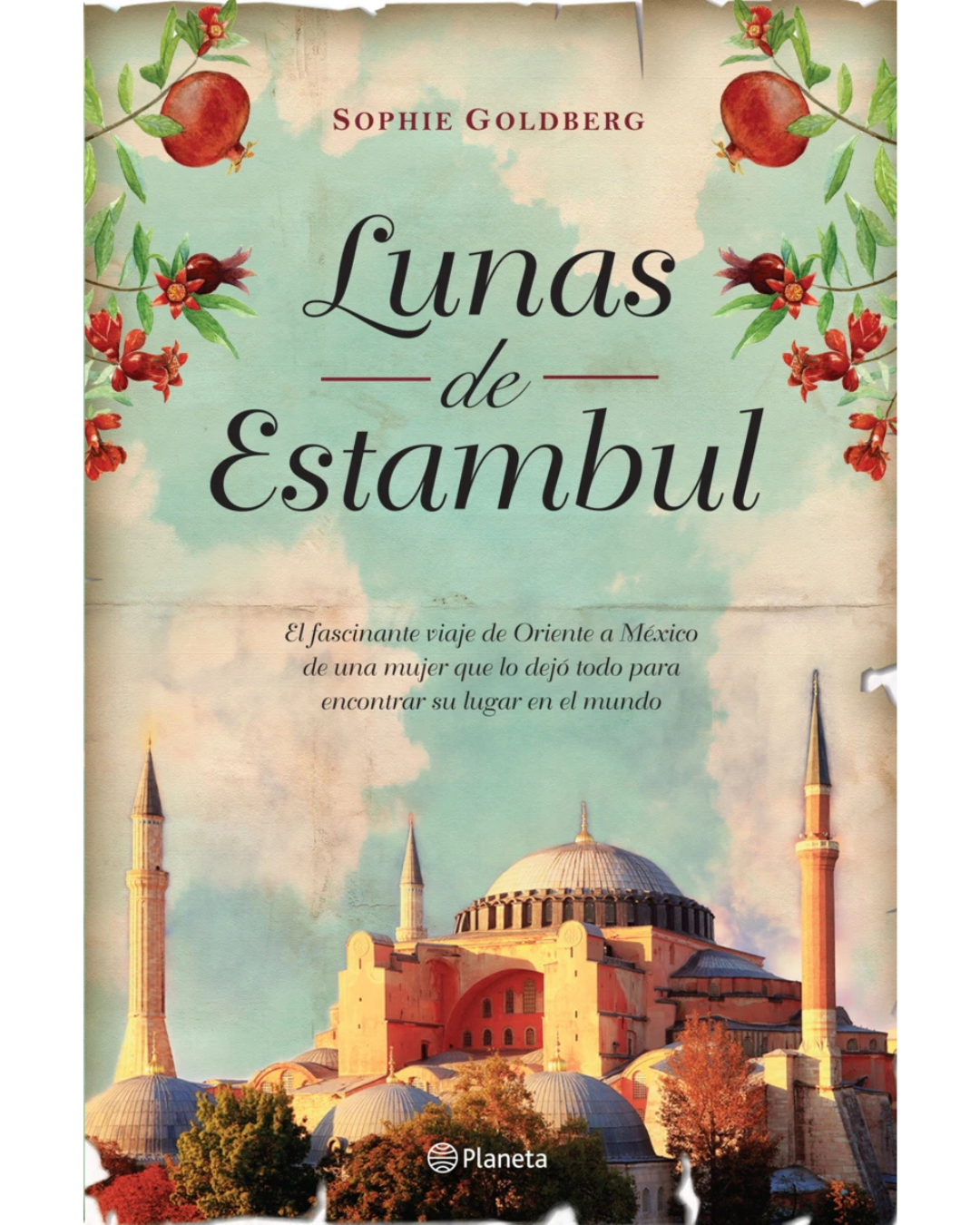 Lunas de Estambul