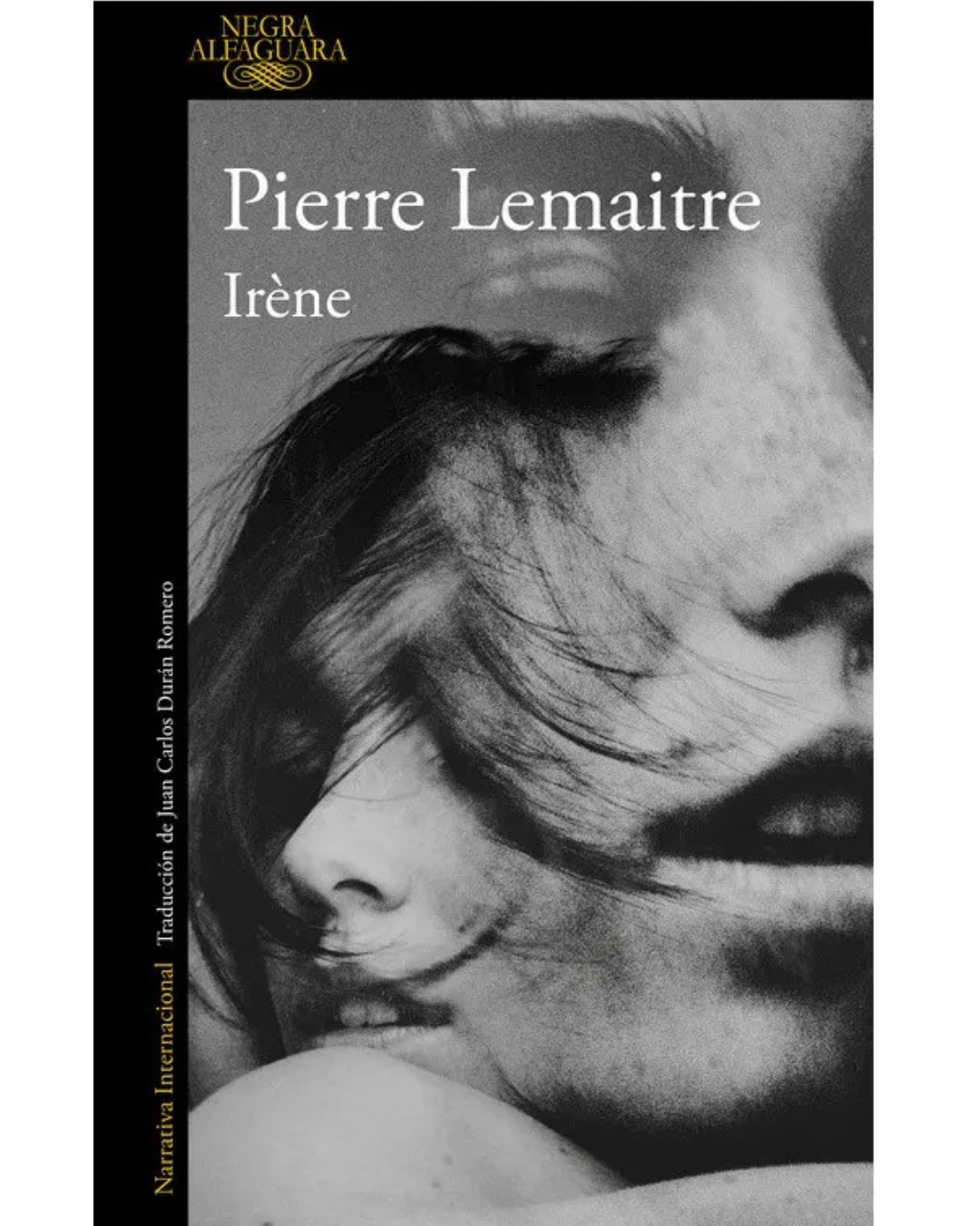 Irene (Camille Verhœven #1)