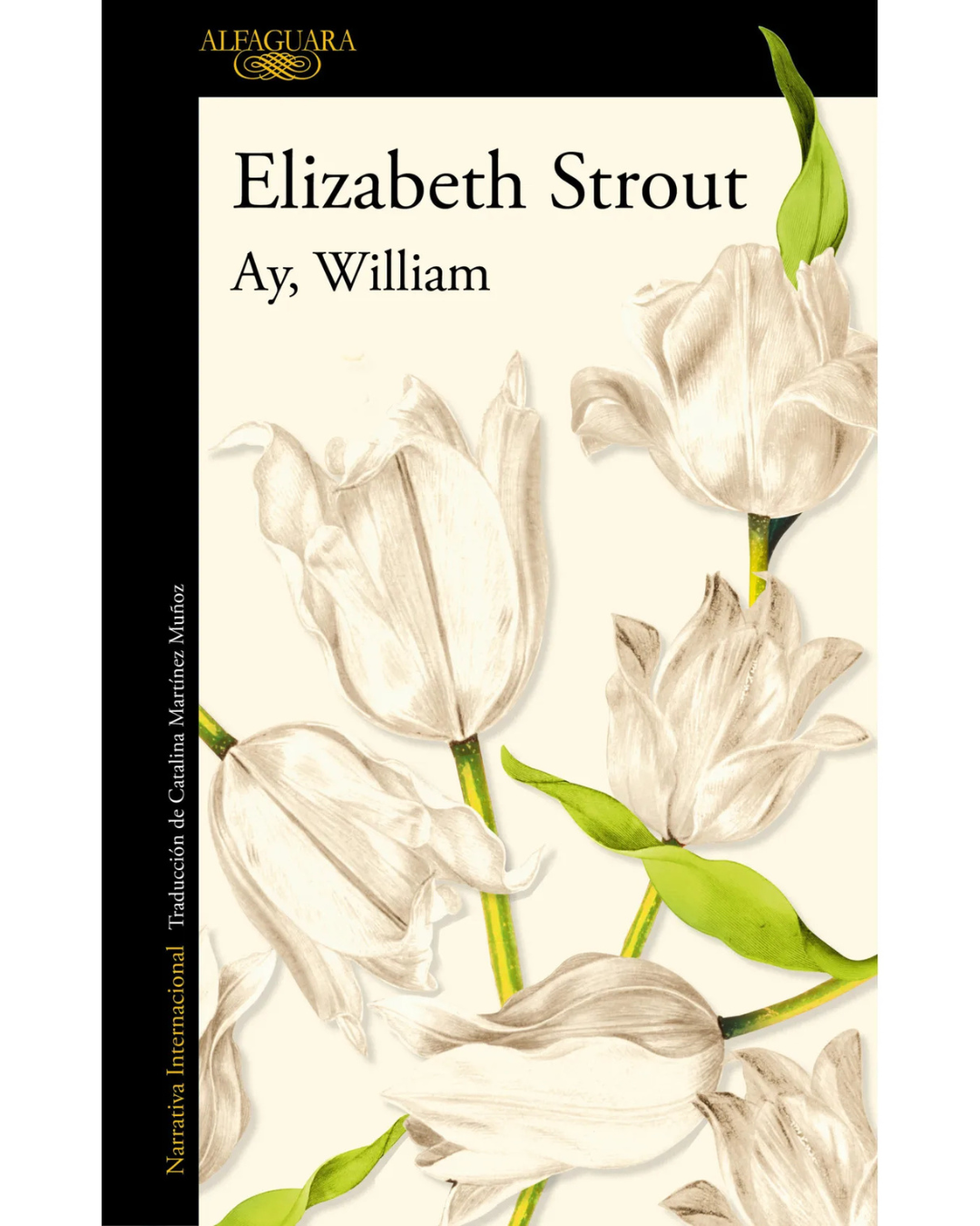 Ay William Elizabeth Strout
